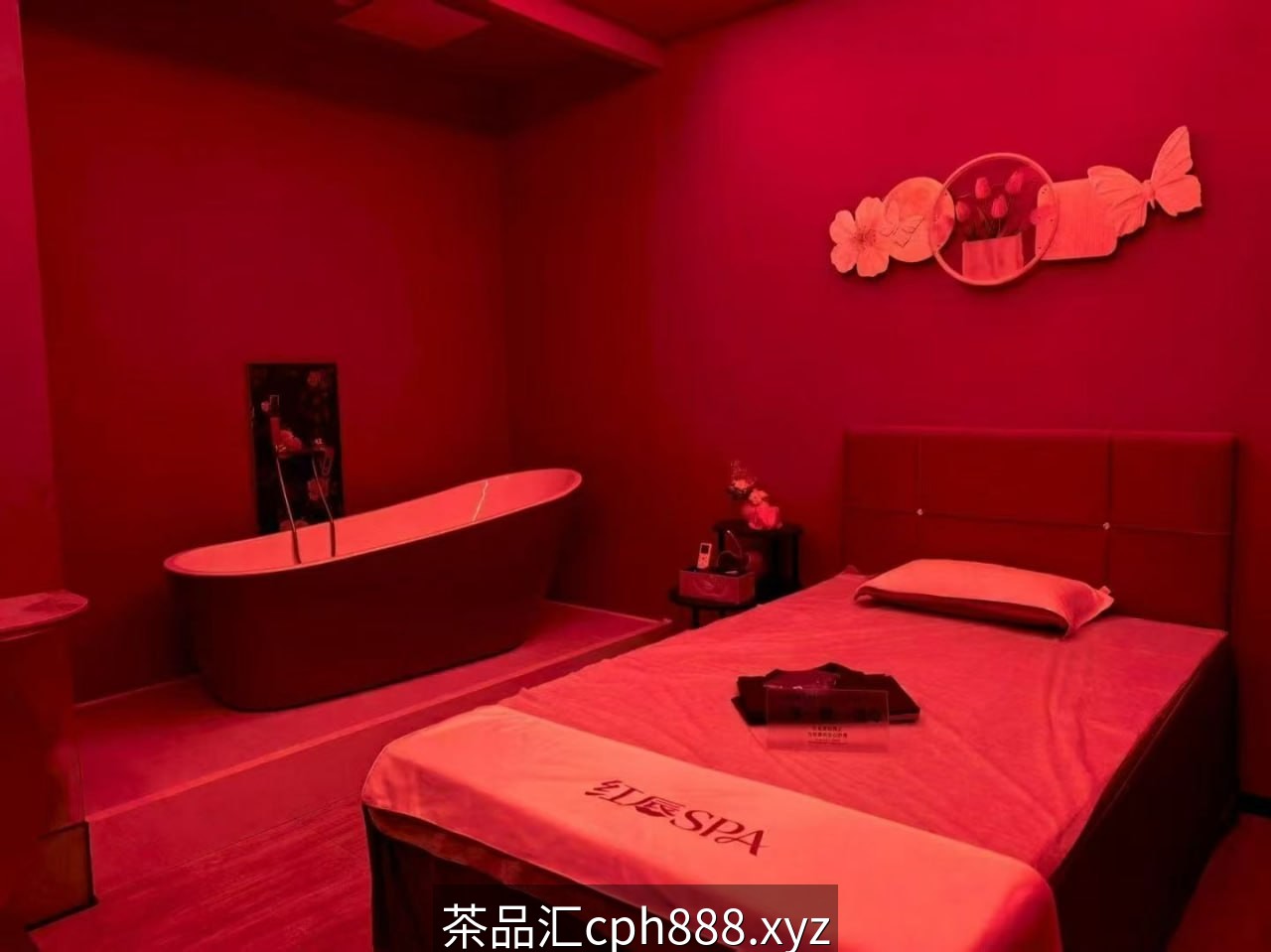 精彩照片