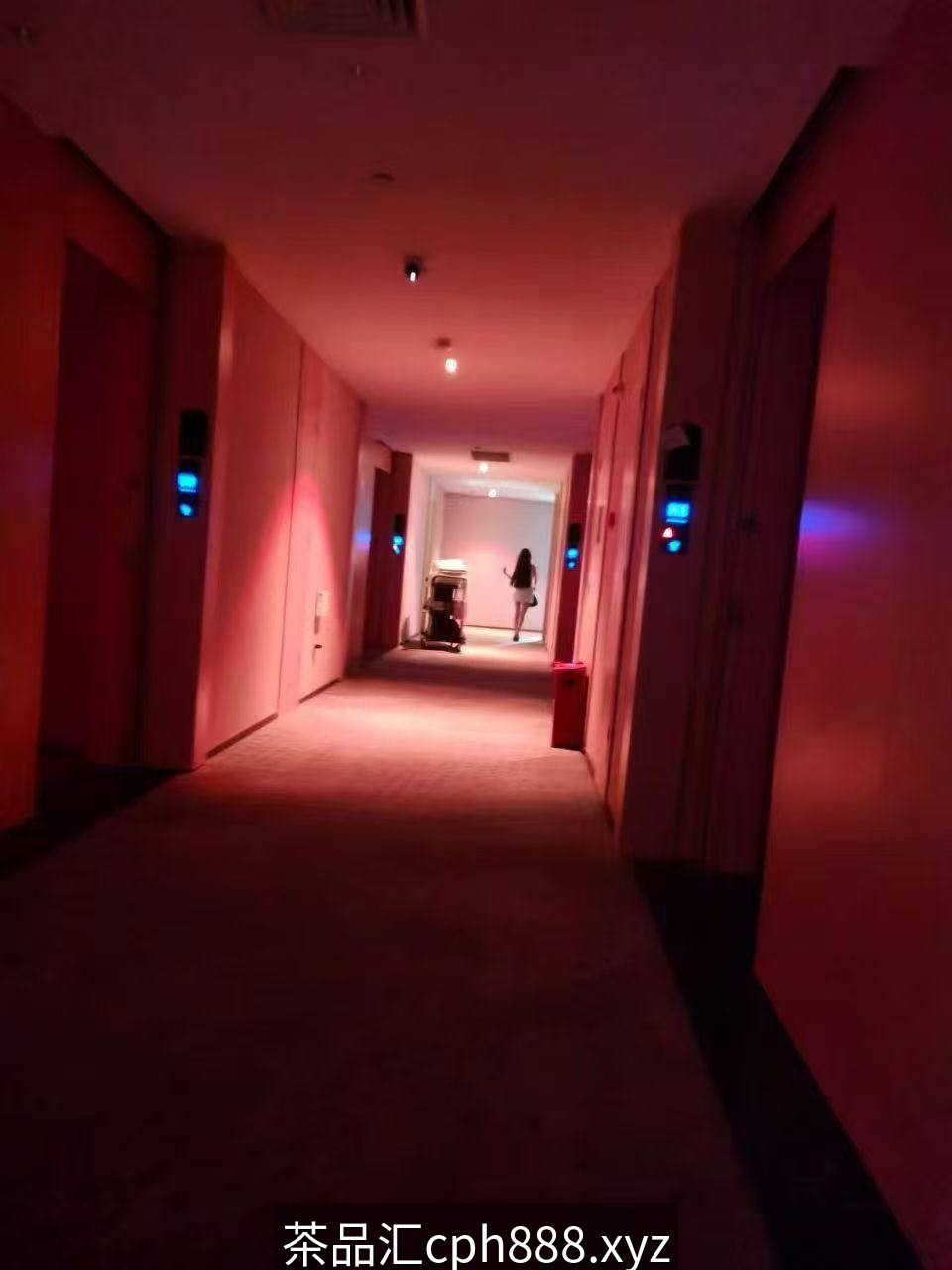 精彩照片